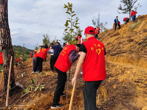 义务植树.jpeg