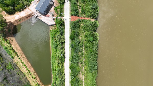 DJI_0065_副本.jpg